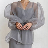 Sheer Sexy Top V Neck Long Puff Sleeves Bow Tie Chic Blouse