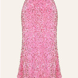 Sequin Decorated Velvet Skirt In Pink