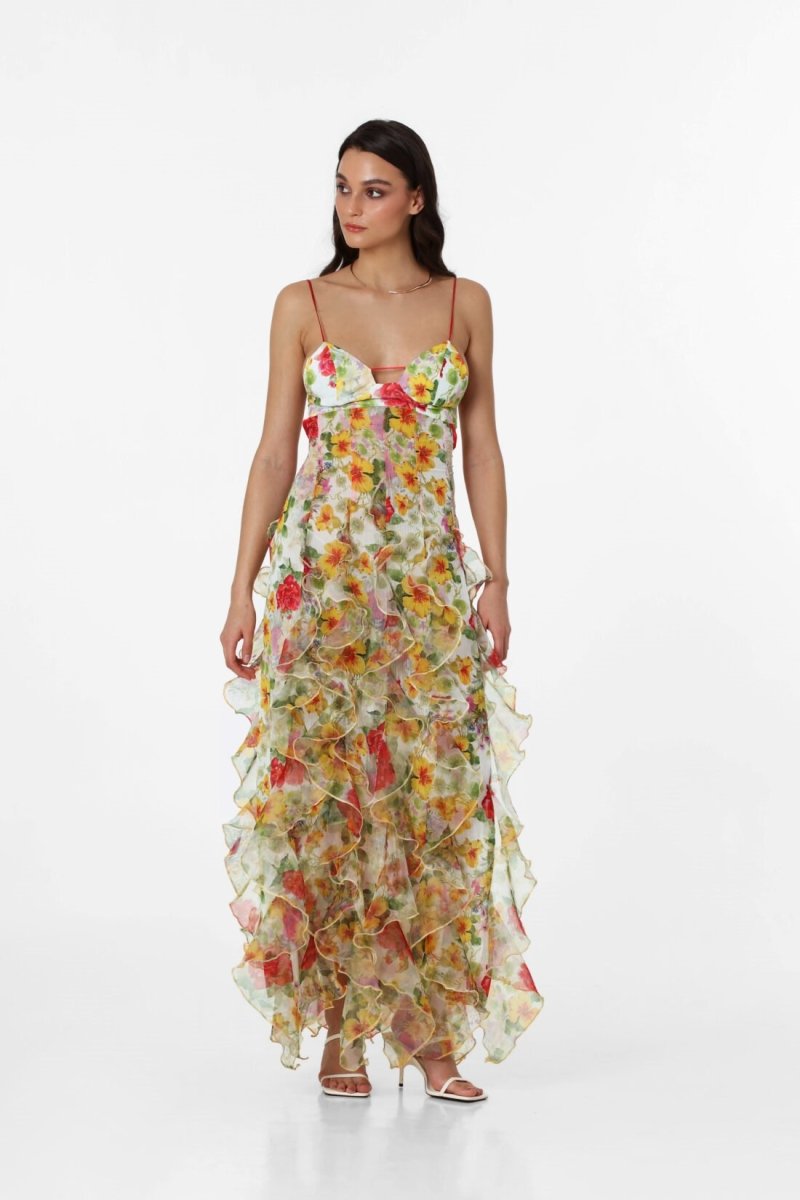 Alxia Ruffle Sheer Maxi Dresse