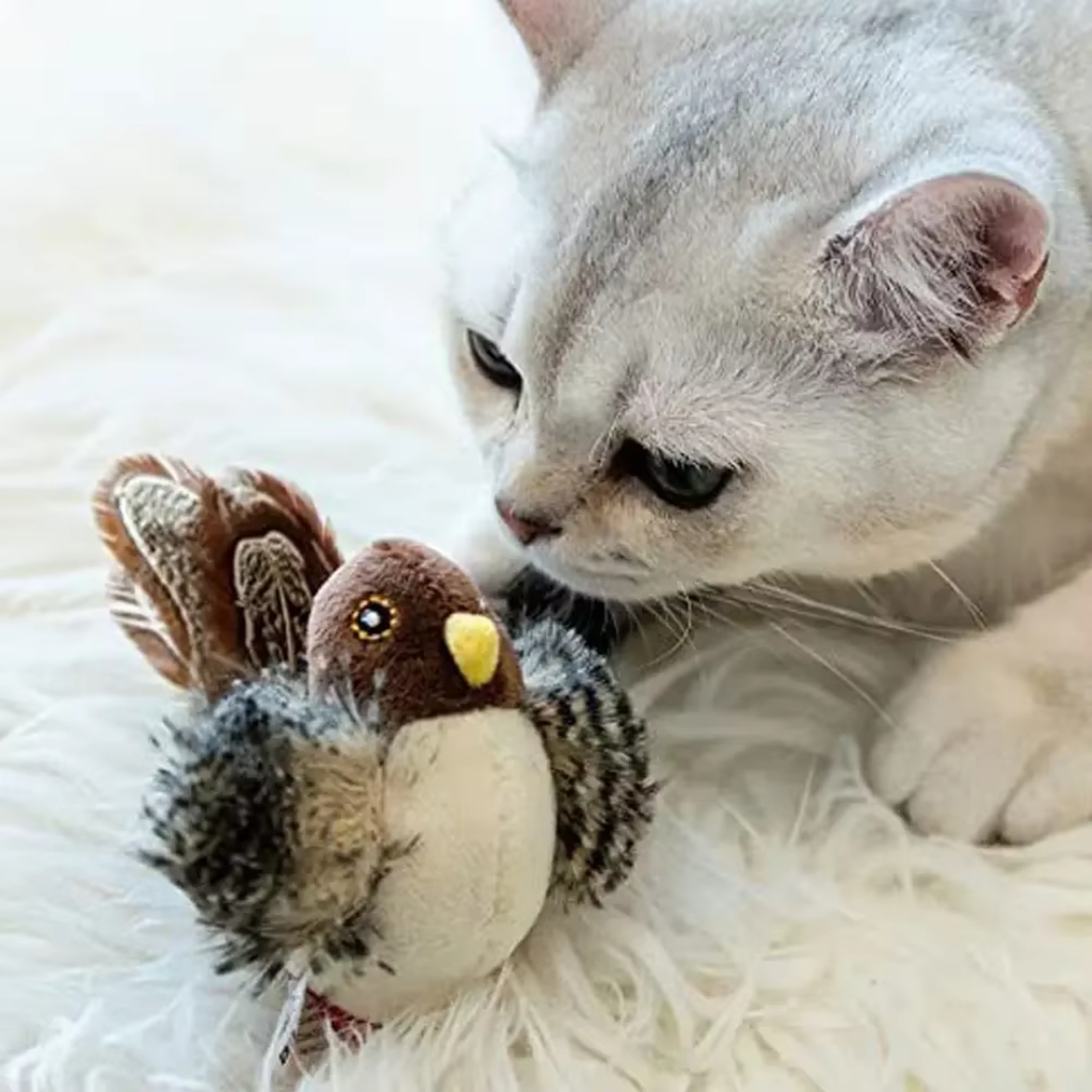 Bird Toy for Cats | Fun That Stimulates Feline Instincts