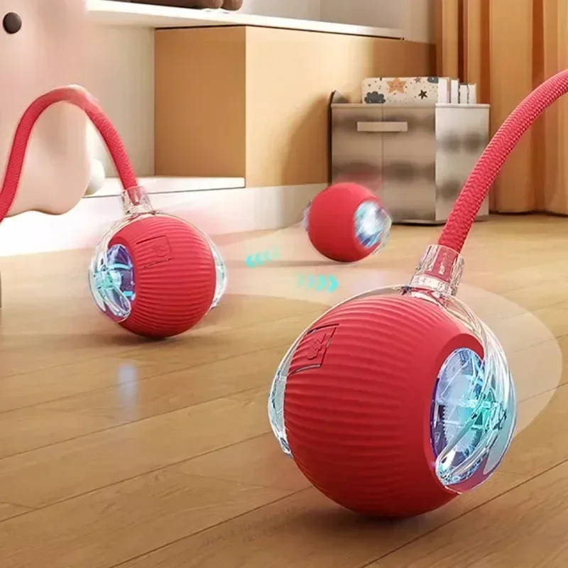 Interactive Cat Ball | Keeps your cat active and happy