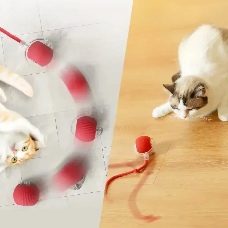 Interactive Cat Ball | Keeps your cat active and happy
