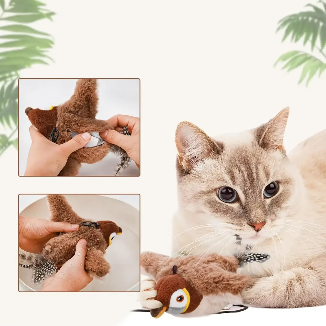 Bird Toy for Cats | Fun That Stimulates Feline Instincts
