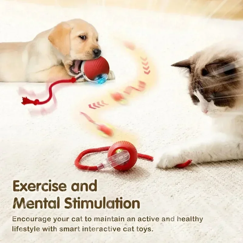 Interactive Cat Ball | Keeps your cat active and happy