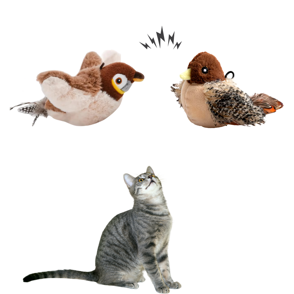Bird Toy for Cats | Fun That Stimulates Feline Instincts